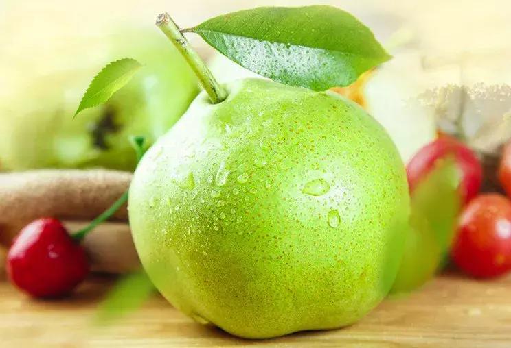 “阳信鸭梨”区域公用品牌形象标识