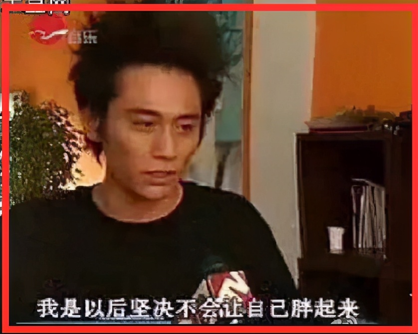 “东北痞帅男孩”刘烨的酸爽情史