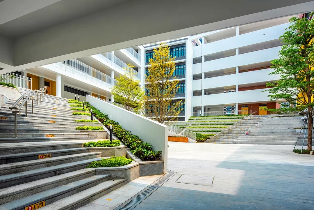 龙岗华中师范附属龙园学校怎么样,华中师大附属龙园学校深圳排名