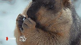 一生必去的中国50个最美地方,中国秋天最美的十个地方