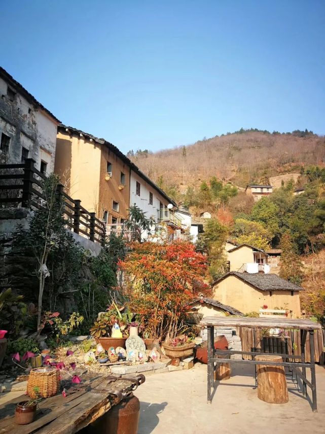 麦哲伦航线·第二站:阳产德味儿民宿合伙人-小丫TUYA