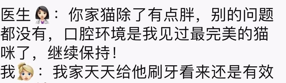 让铲屎官来告诉你养猫的四大理由,掌握12条养猫技巧铲屎官省心
