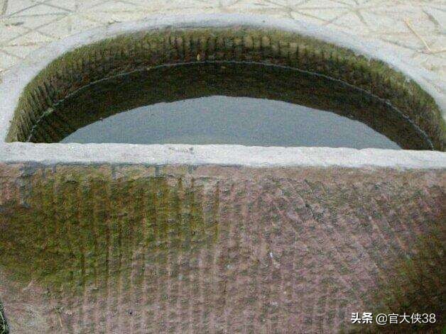 小的时候,有一次掏阴沟,居然有意外的发现,收获颇丰,大快朵颐