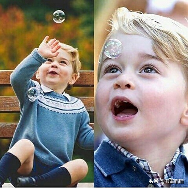 阿奇小时候就被主人抛弃,阿奇小时候生气