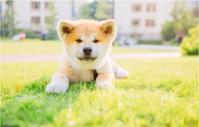 零基础学ps美工多久可以学会,美工薪资高不高