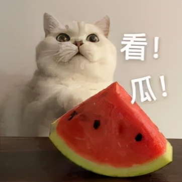 大曲线官司,大曲线官司赢了吗