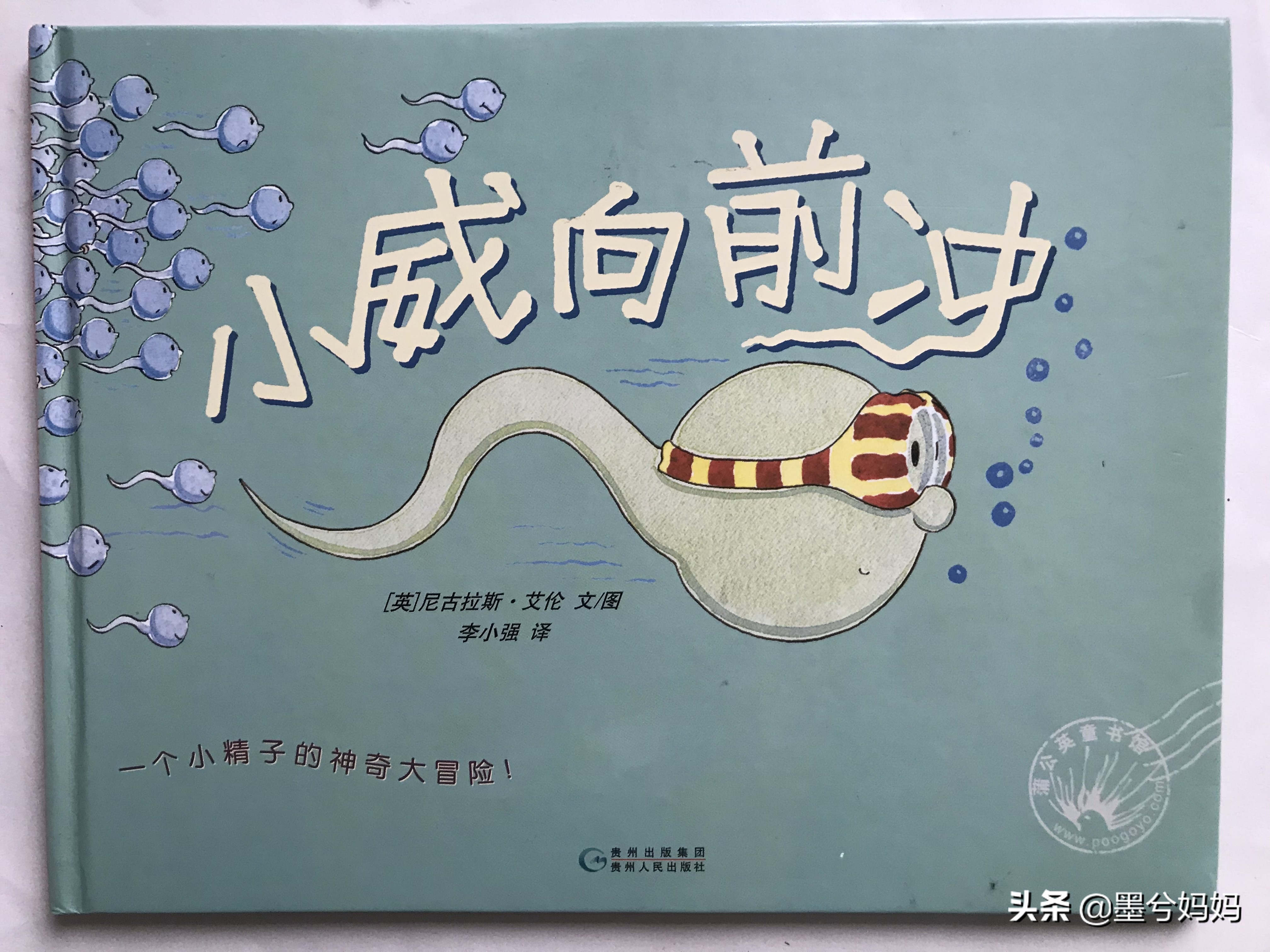 儿童绘本推荐3-6岁测评,培养孩子必读绘本