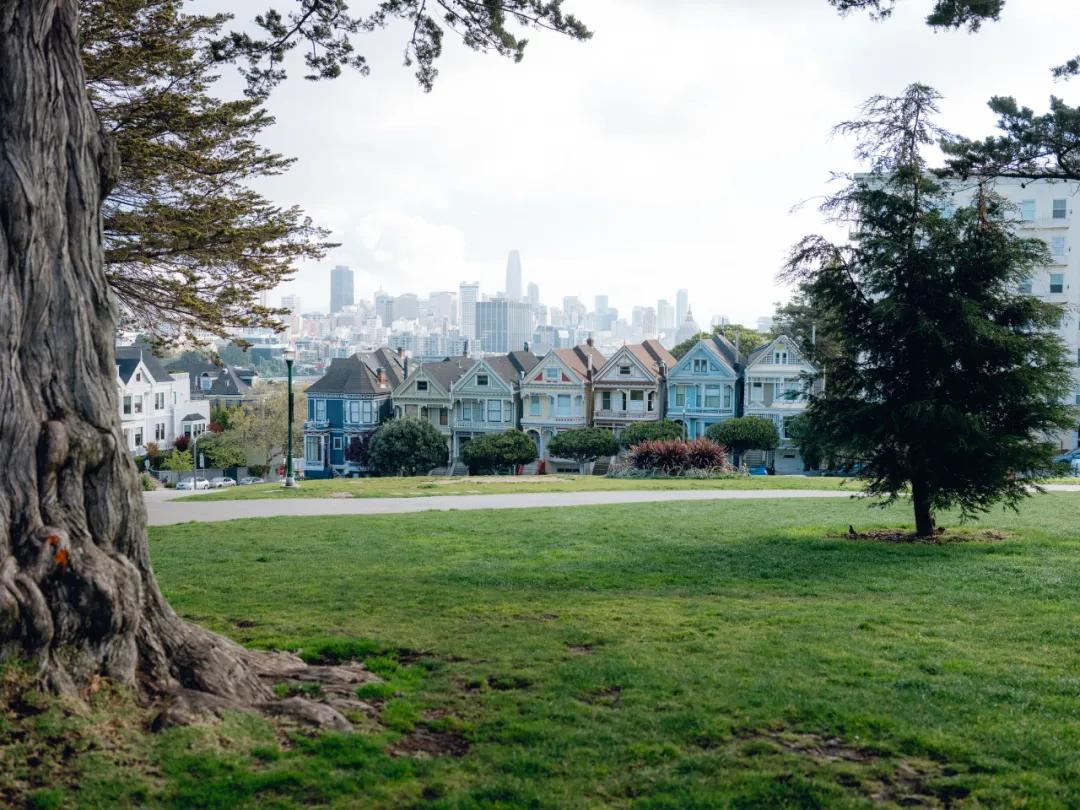 纽约时报视频大全,纽约时报最新头版震撼