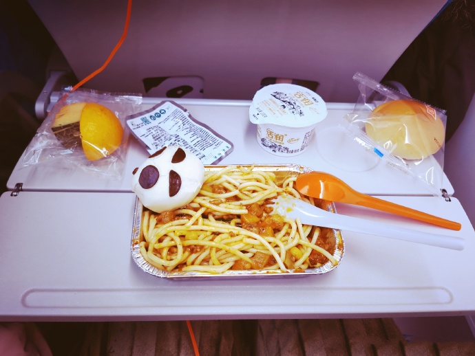 回家过年推荐飞机,过年回家飞机火车哪个最安全