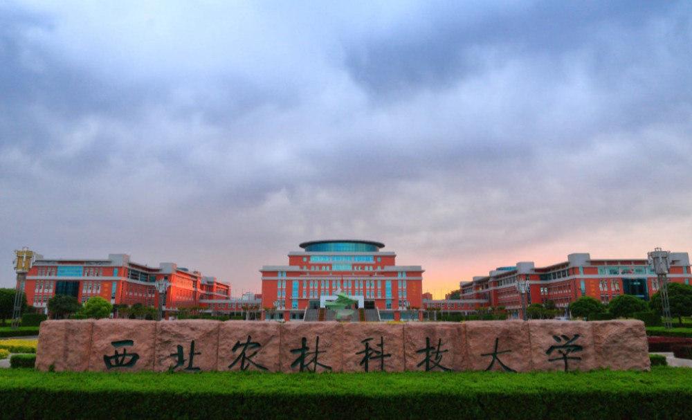 制药工程专业到底是学习什么的,制药工程和药剂学哪个专业好