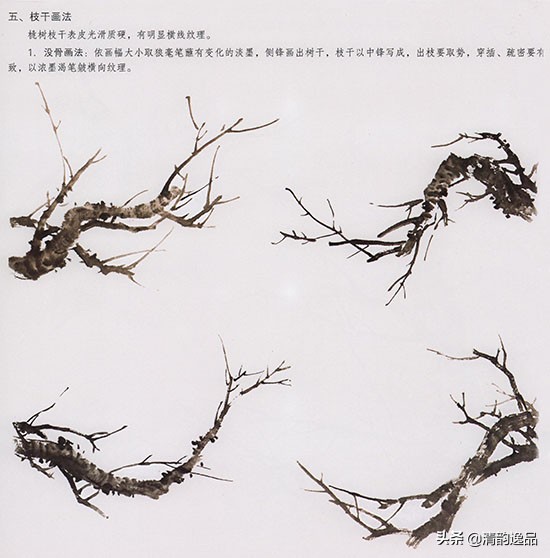 怎样画国画桃花的绘画技法,国画写意桃花技法视频