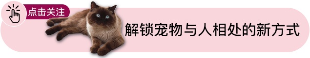 猫咪伸爪子误伤要惩罚吗,猫咪伸爪子抓我衣服是怎么回事