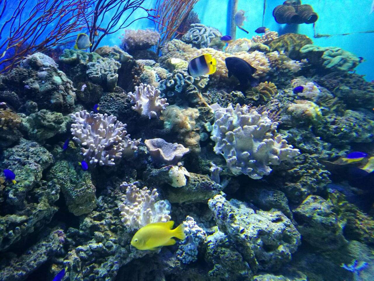 北京工体富国海底世界周一营业,北京工体富国海底世界旅馆