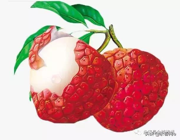 永春岵山荔枝节几点开始,永春岵山第十一届荔枝节