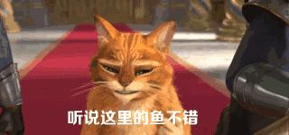 它是公认的长寿菜夏季吃胜补药,人人吃得起四种长寿菜