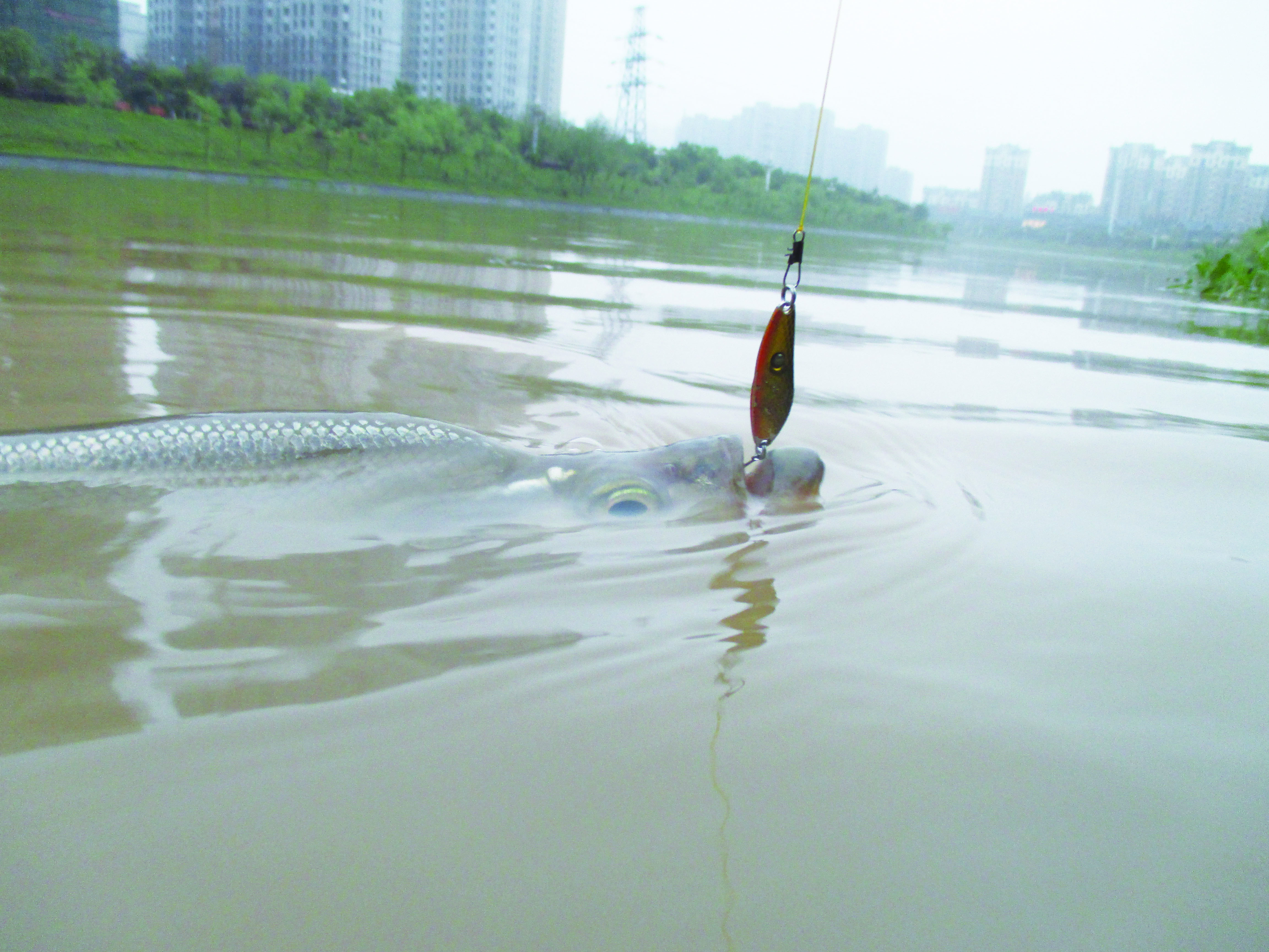 玩路亚第一天上鱼,玩路亚几年的变化