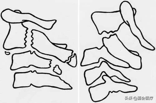 她被判处绞刑，吊了半小时却没死，这个医生说出了真相