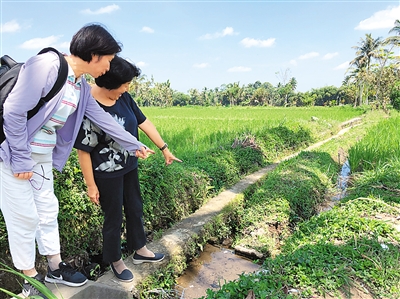 农业经济管理专业分析,农林经济管理学就业方向及前景