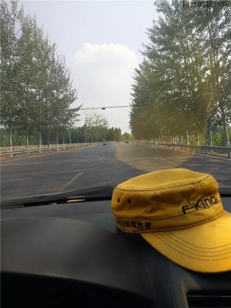 野钓笔记2018,钓龙虾日记100字