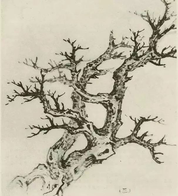 怎样画树画得好看,怎么画树最简单而且还最好看