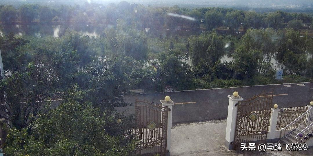 苏州相城区水果采摘园推荐,苏州枇杷樱桃采摘园