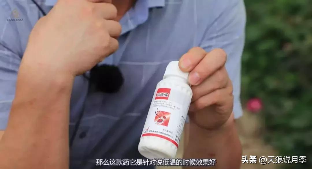 史上最详细的“红蜘蛛”防治攻略三部曲（对应三期视频）