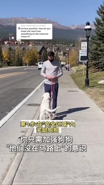 汪星人名字叫什么,汪星人的名字