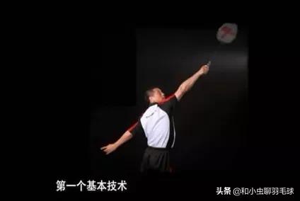 羽毛球的招式描写,羽毛球比喻式动作