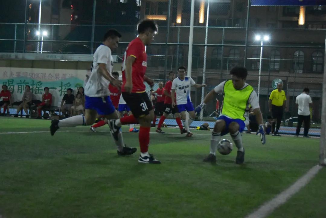 南国体投2024体育赛事,南国体投