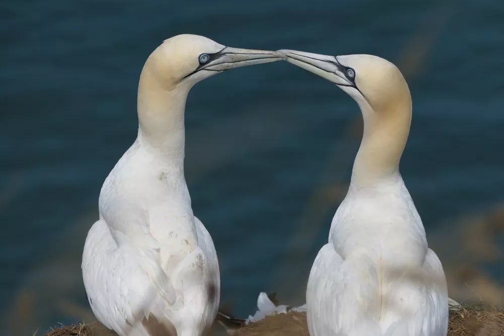 leicav-lux5使用教程,徕卡leicav-lux5