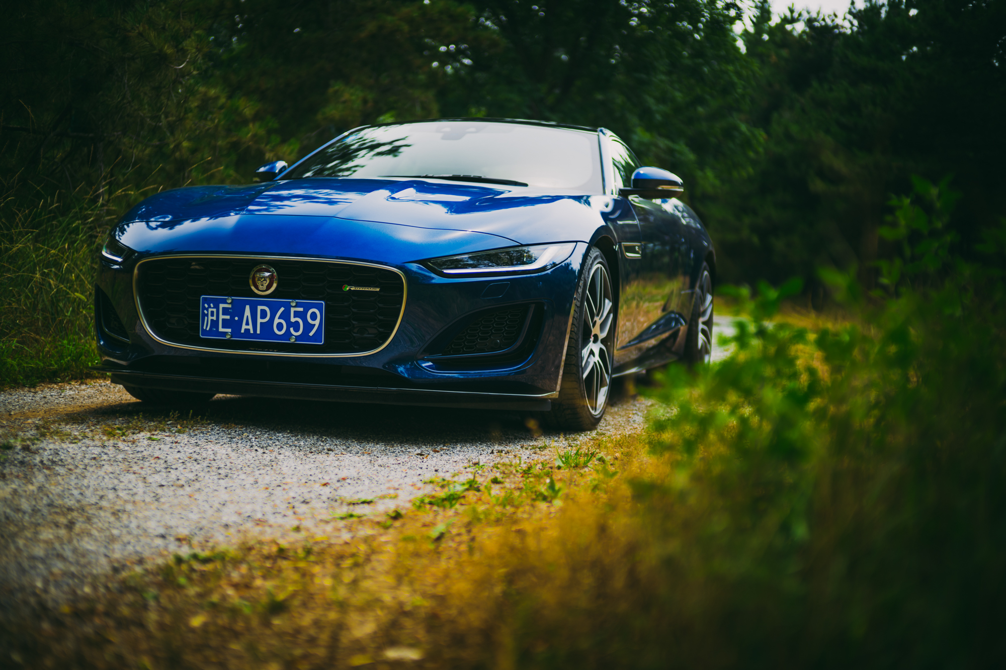 07款捷豹f-type英伦绿,捷豹f-type陈震试驾svr