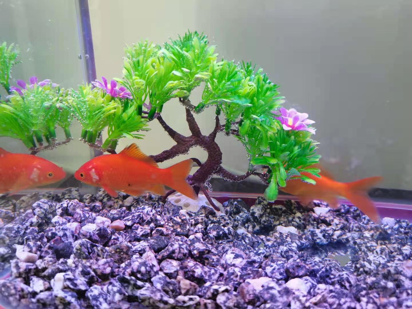 麦饭石水杯正确使用方法,麦饭石锅第一次怎么使用