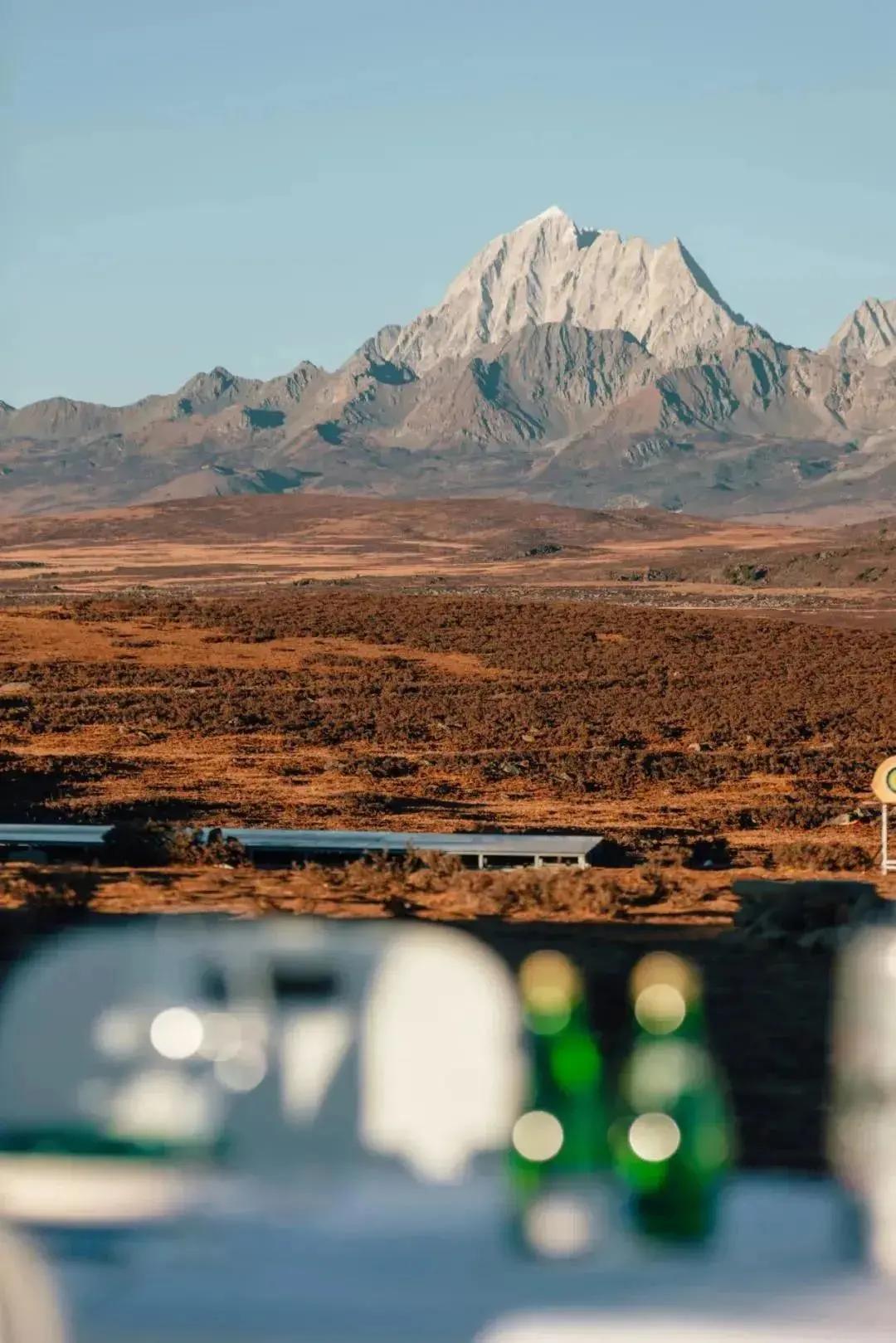 终于攒够了年假,年假怎么攒