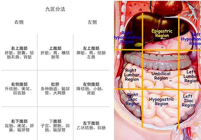 中右上腹疼痛有哪些病因,右上腹反复隐痛却查不出病因