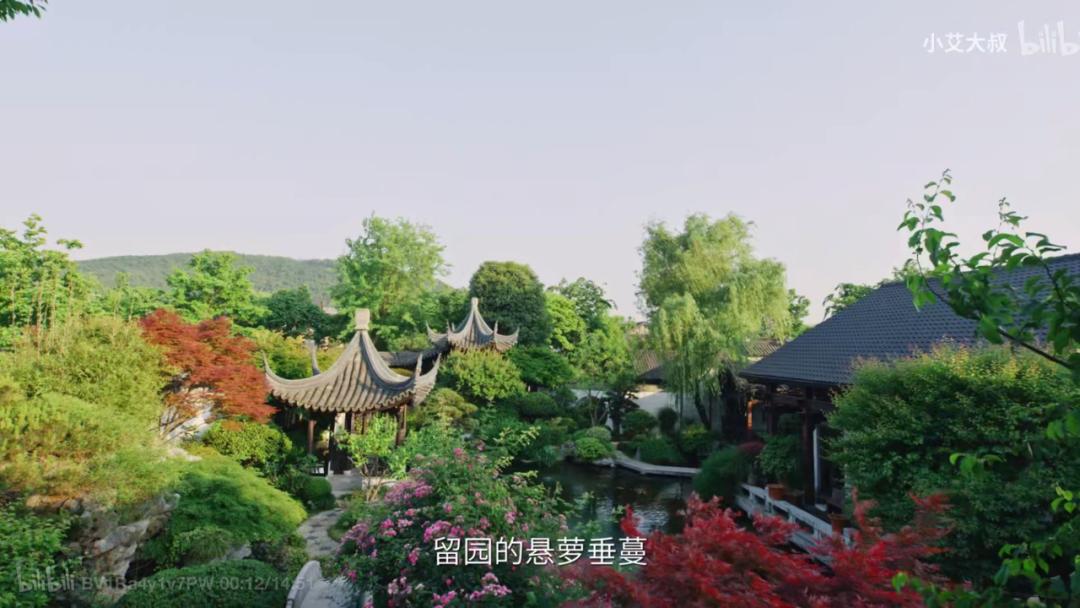 80%人对中式审美没信心？50岁大叔却花20年造园子，年轻人都喜欢