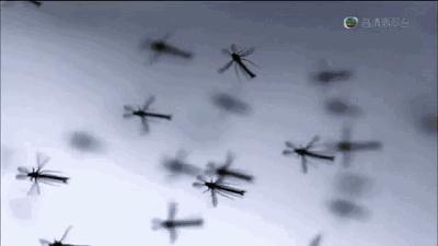 外国奇葩美食,外国最奇葩的美食