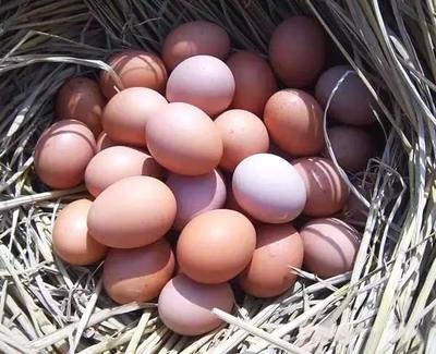 鸡蛋保存之前该怎样清洗,鸡蛋应如何储存保鲜呢视频