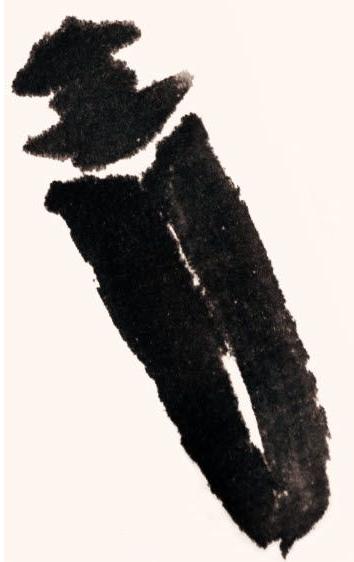 天牛写意画法步骤图,纯干货3分钟学画写意天牛和瓢虫