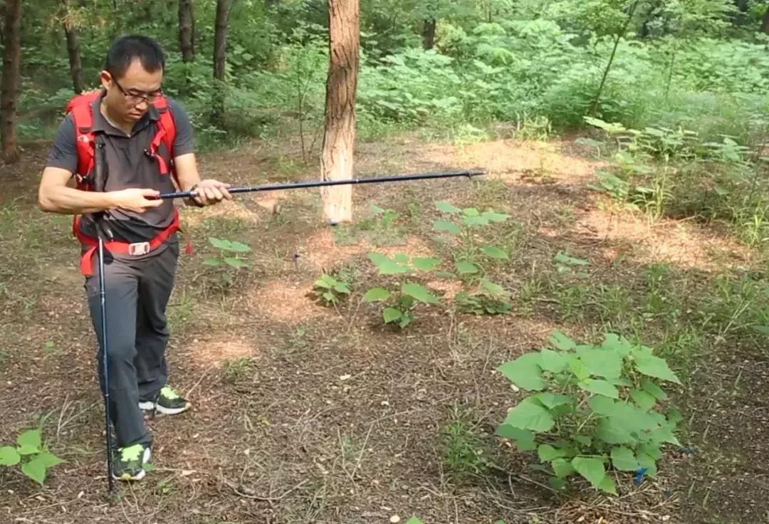 如何正确使用登山杖教程,用登山杖的正确方法