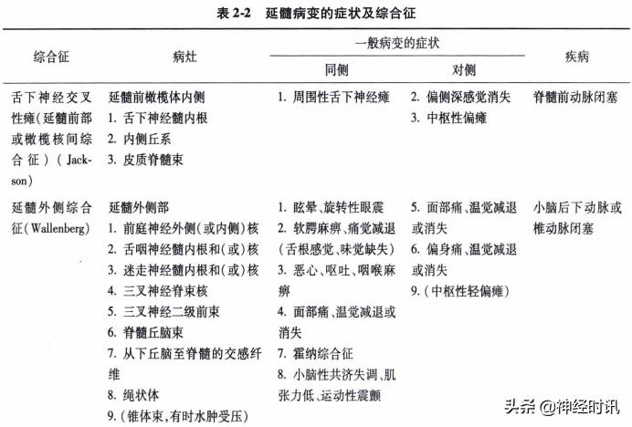 脑干解剖,脑干神经解剖