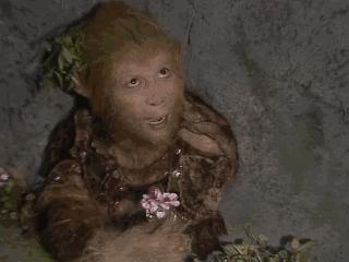 六小龄童翻车现在怎么样了,六小龄童与潘长江