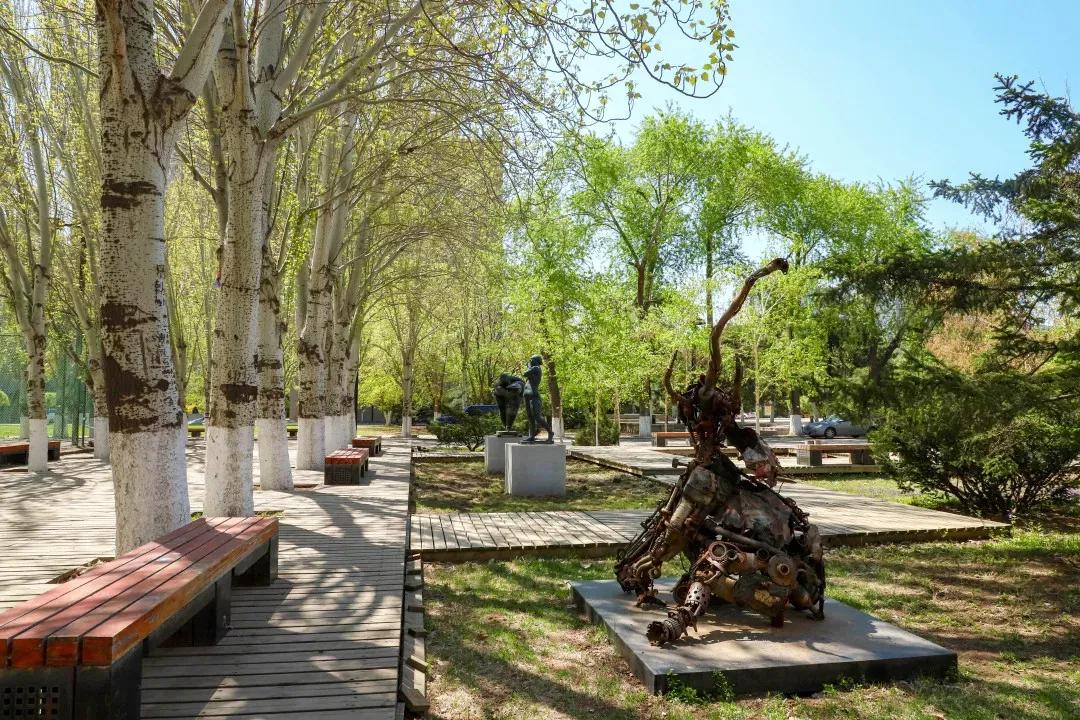 辽宁大学和鲁迅美术学院,辽宁省鲁迅美术学院是985吗