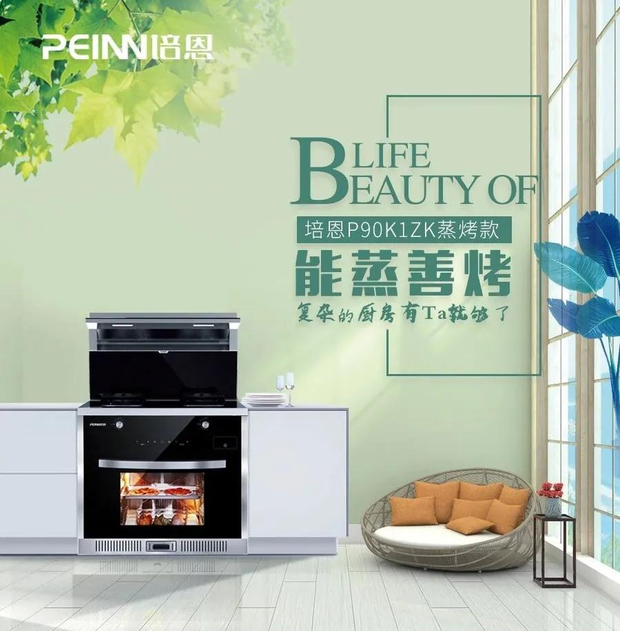 十大名牌集成灶都是什么品牌的,集成灶挑选技巧十大品牌