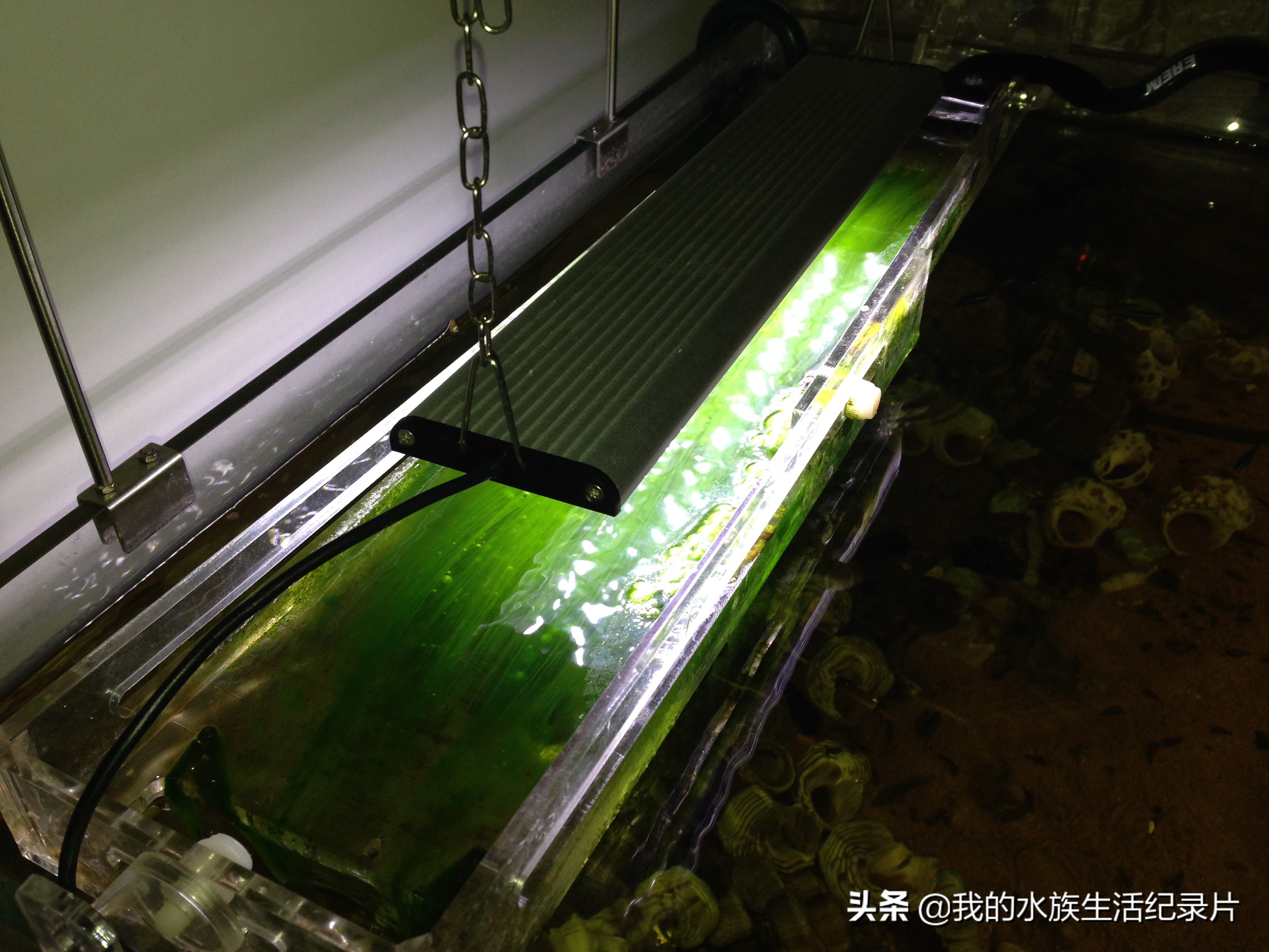 自制亚克力板过滤器,自制鱼缸用玻璃还是亚克力板好