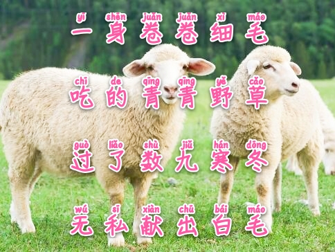 常与孩子猜谜100条儿童谜语建议,儿童睡前谜语简单易懂大全