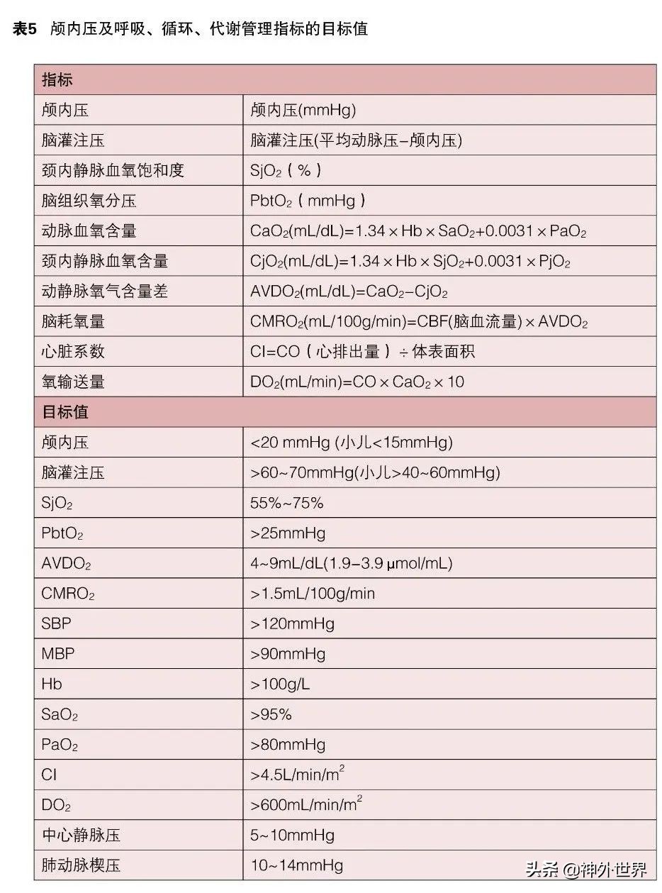 日本脑卒中康复治疗指南,脑室引流与颅内压监测技术