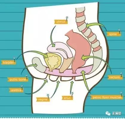 凯格尔训练需要每天练吗,凯格尔训练做着做着用不上劲了