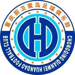 天津权健足球历程,天津权健队历史