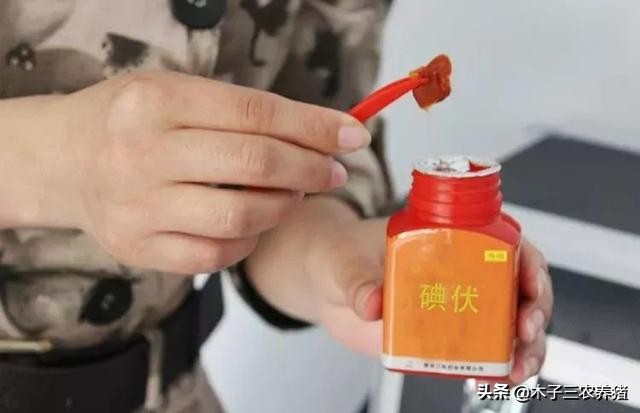 猪坏死性皮炎和渗出性皮炎,小猪渗出性皮炎怎么预防