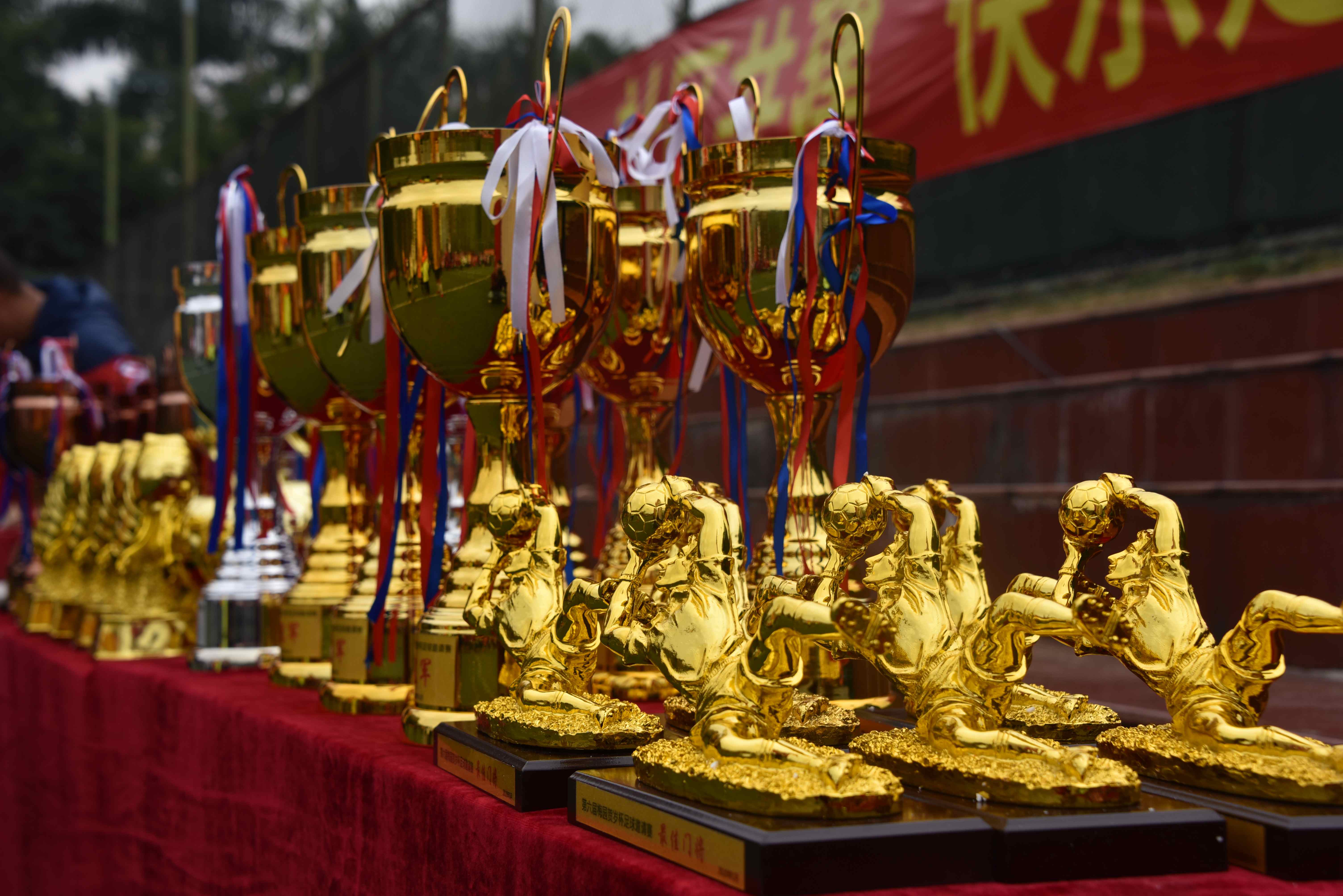 足球梦庆中国年！2020第六届梅园“贺岁杯”足球邀请赛圆满落幕